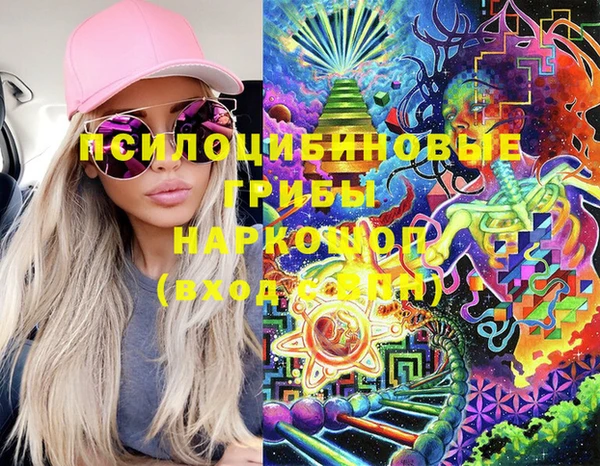 ПСИЛОЦИБИНОВЫЕ ГРИБЫ Каменка