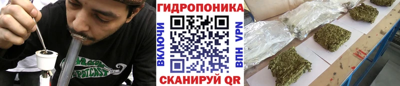 KRAKEN ТОР  купить наркоту  Кунгур  Конопля Amnesia 